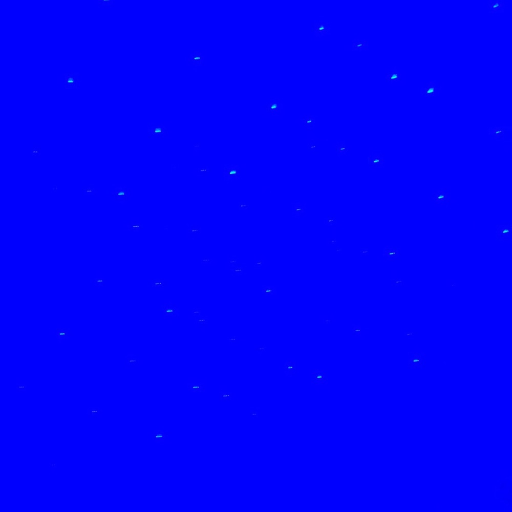 Meet your Posher, Trey